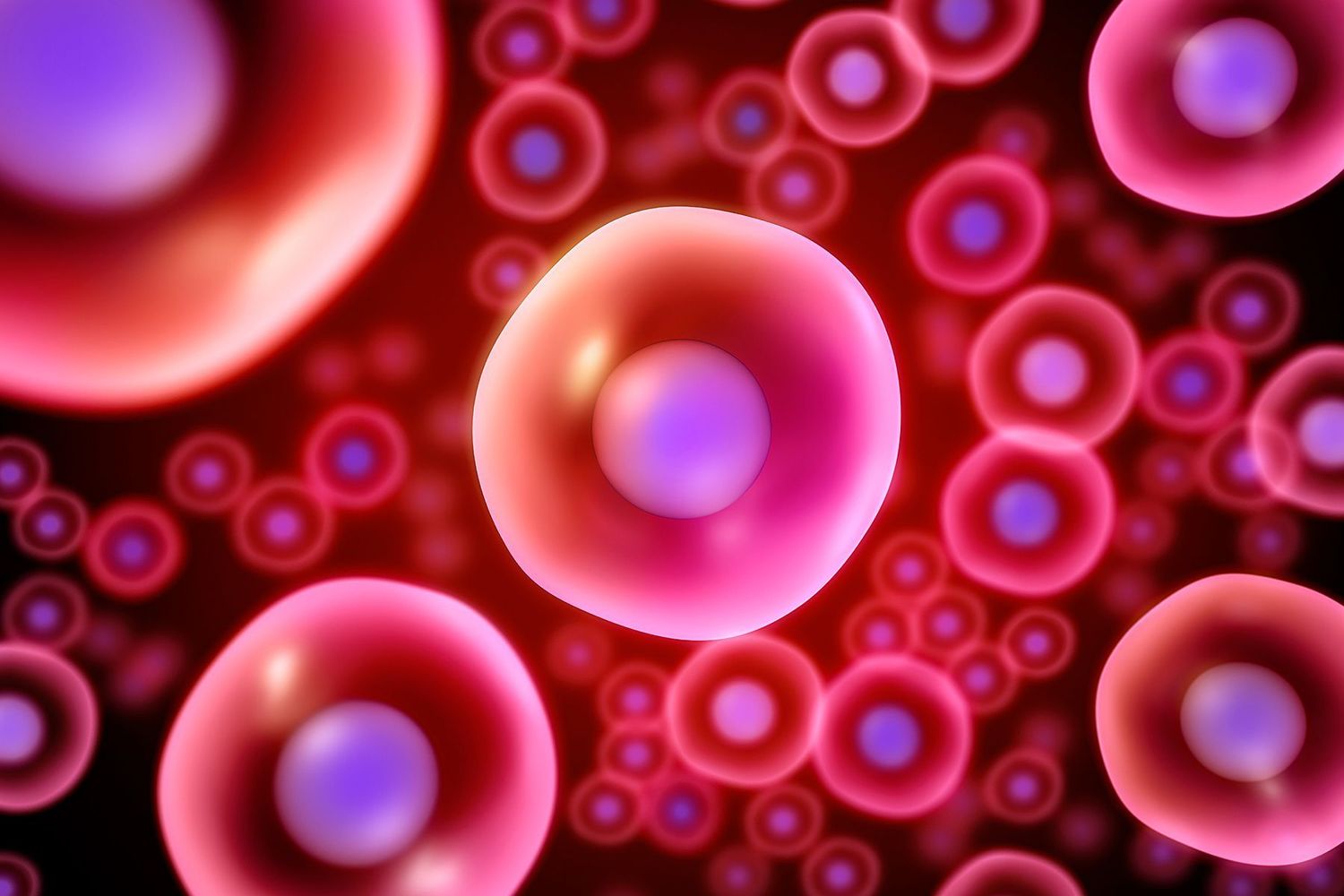 Stem Cells and Dentistry